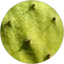 Beata Paczyńska Beata Paczyńska